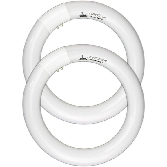 FC8T9/CW Circular Fluorescent Light Bulb, 8 Inch Round T9 22W Circline Bulbs Replacement for Ceiling Fixture, Cool White 4100K 1350 Lumens, G10q 4 Pin Base, 2 Pack