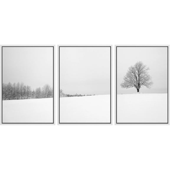 FCCUYE - 3 Panel d Canvas Wall Art - Majestic Natural Landscape Triptych d Canvas Series - Hot Spring Lake - Giclee Print Gallery Wrap Modern Home Art Ready to Hang Panels - 16"x24"x3 White