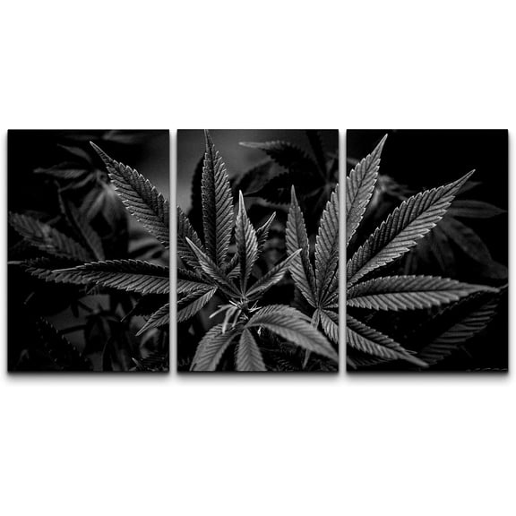 FCCUYE - 3 Piece Canvas Wall Art - Cannabis Texture Marijuana Leaf Pile Background with Flat Vintage Style - Modern Home Art Stretched and Framed Ready to Hang - 16"x24"x3 Panels