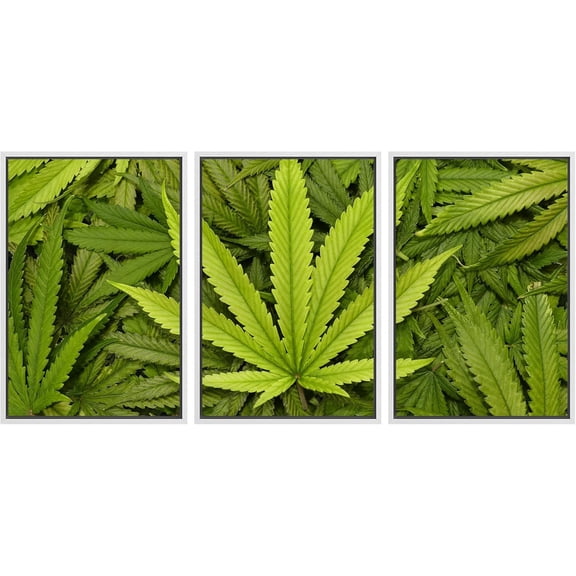 FCCUYE - 3 Piece Canvas Wall Art - Cannabis Texture Marijuana Leaf Pile Background with Flat Vintage Style - Modern Home Art Stretched and Framed Ready to Hang - 16"x24"x3 Panels