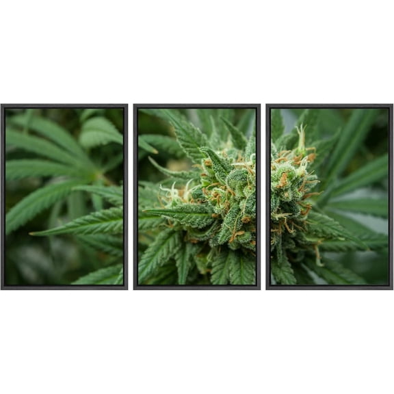 FCCUYE - 3 Piece Canvas Wall Art - Cannabis Texture Marijuana Leaf Pile Background with Flat Vintage Style - Modern Home Art Stretched and Framed Ready to Hang - 16"x24"x3 Panels