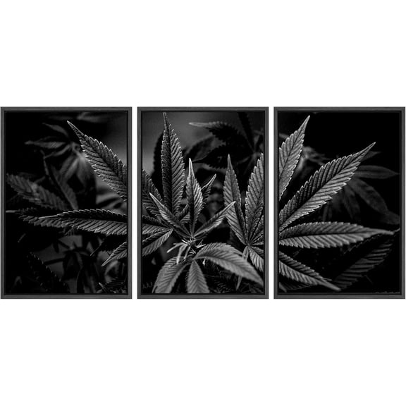 FCCUYE - 3 Piece Canvas Wall Art - Cannabis Texture Marijuana Leaf Pile Background with Flat Vintage Style - Modern Home Art Stretched and Framed Ready to Hang - 16"x24"x3 Panels