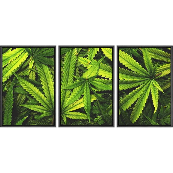 FCCUYE - 3 Piece Canvas Wall Art - Cannabis Texture Marijuana Leaf Pile Background with Flat Vintage Style - Modern Home Art Stretched and Framed Ready to Hang - 16"x24"x3 Panels