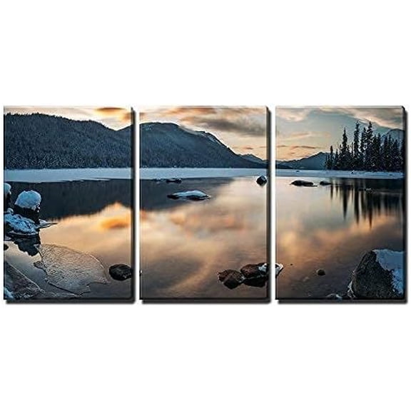 FCCUYE 3 Piece Canvas Wall Art - Maneless Zebra (Equus Quagga Borensis) Skin Texture. Wildlife Animal. - Modern Home Art Stretched and Framed Ready to Hang - 16"x24"x3 Panels