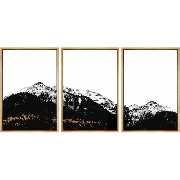 FCCUYE 3 Piece Framed Canvas Wall Art A Series of White Clouds in The Blue Sky Nature Wilderness Illustrations Abstract Traditional Home Artwork Decoration for Living Room,Bedroom - 24"x36"x3 NATURAL