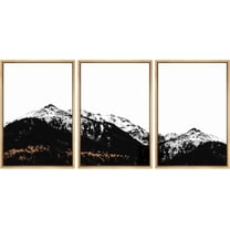 FCCUYE Framed Wall Art Print Set Trio of Zebra Succulents Floral Plants Photography Modern Art Minimalist Closeup Dramatic Black and White for Living Room, Bedroom, Office - 24"x36"x3 Natural