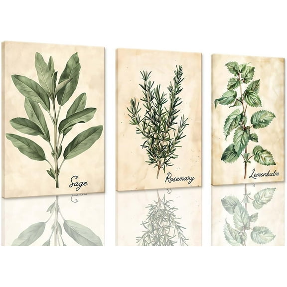 FCCUYE Kitchen Wall Art ,Botanical Wall Art Plant Canvas Framed Sage Green Herbs Rosemary Plants Painting Pictures Dining Room Wall Decor Set of 3 Lemonbalm Artwork for Farmhouse Kitchen Home Decor