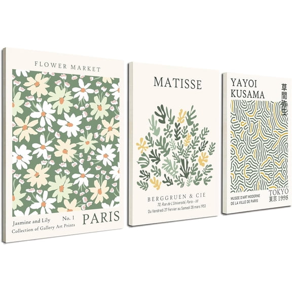 FCCUYE d Sage Green Vintage Wall Art Canvas Decor Set of 3, Matisse Wall Art Prints Posters Mid Century Modern Art, Aesthetic Floral Botanical wall art for bedroom, living room, bathroom 12x16