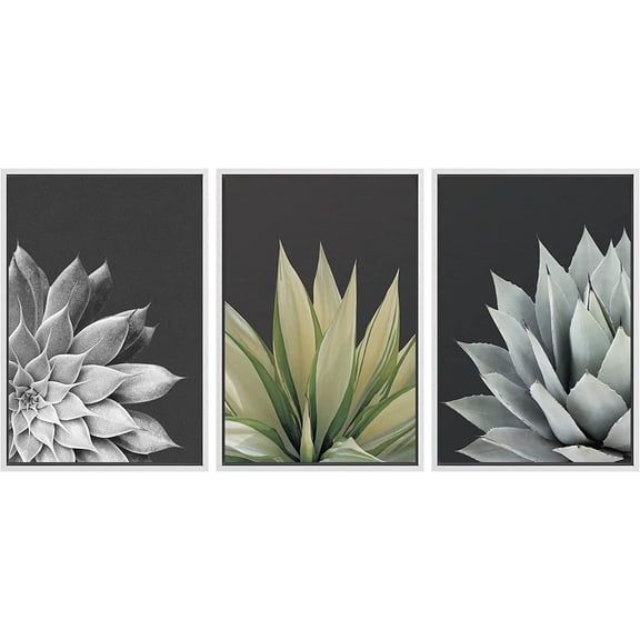 FCCUYE d Wall Art Print Set Desert Rose Echeveria Succulent Set Nature Plants Photography Modern Art Closeup Relax/Calm Dark Black and White for Living Room, Bedroom, Office - 16"x24"x3 Natural