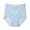 thumbnail image 1 of FCLoft Women's Ice Silk High Waist Seamless Breathable No Show Briefs Underwear, 1 of 9
