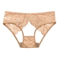 thumbnail image 1 of FCLoft Women's Lace Seamless Breathable Cheeky Panties Hollow Out Butt Lift Bikini Underwear, 1 of 4