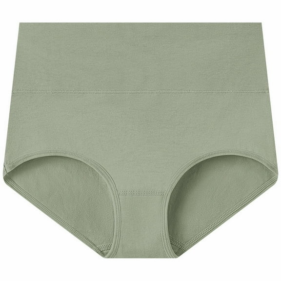 FCLoft Women's Soft Cotton High Waist Briefs, Regular & Plus Size