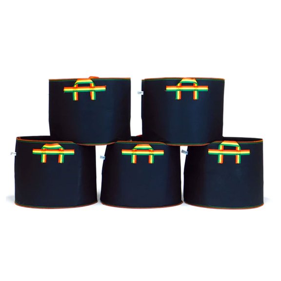 FCMP Outdoor 20 Gal Non Woven Breathable Grow Bags, Multicolor (5 Pack)
