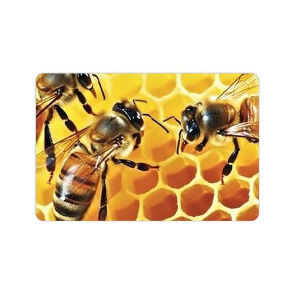 FCXZI Bath mat Absorbent bath mat Quick drying diatom mud mat Bee picking Nectar earth bath mat Non-slip door mat Rubber backing Washable bathroom mat Shower kitchen pet 24x16in