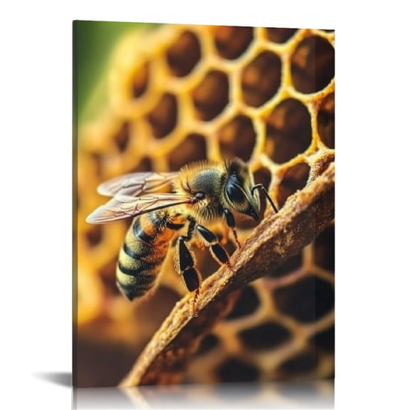 FCXZI Bee Honeycomb Macro Photography Canvas Print Wall Art Decor 12x16in