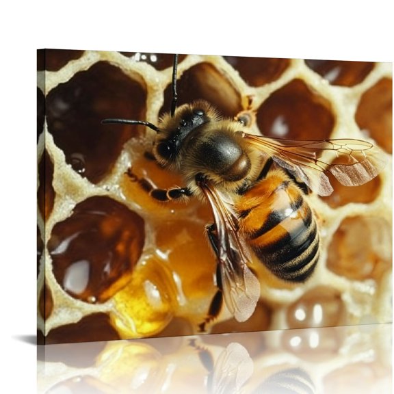 FCXZI Bee Honeycomb Water Droplets Modern Canvas Art Print 20x16in
