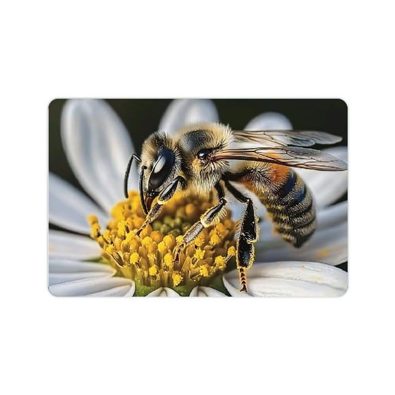 FCXZI Bee stone bath mat quick water drying diatom mud feet mat bathroom floor mat machine washable indoor and outdoor mat decoration 24x16in