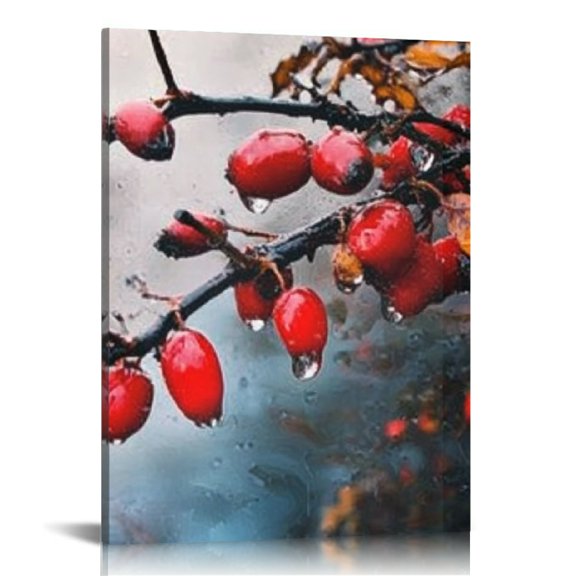 FCXZI Berries Water Droplets Canvas Prints Wall Art Home Decor 12x16in
