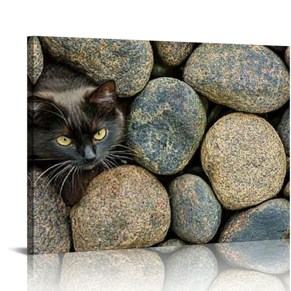 FCXZI Brown Cat Black Cat Canvas Prints Wall Art Decor for Home Ready To Hang Room Decorations 16x12in