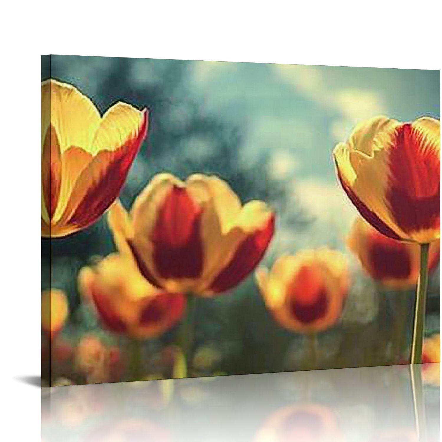 FCXZI Colorful Tulips Wall Art Decor Picture Painting Print on Canvas ...