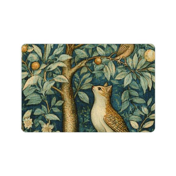 FCXZI Cute Cat Diatom Mud Bath Mat Quick Drying Home Decor 24x16in