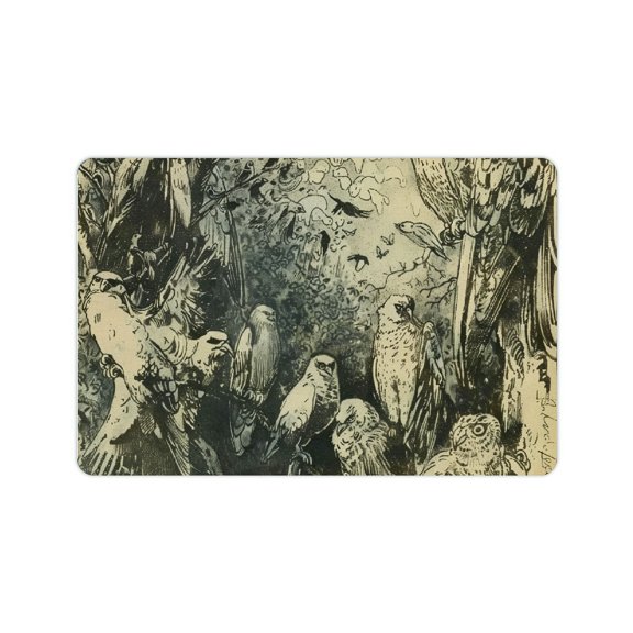 FCXZI Diatom Mud Mats Non-Slip Birds Forest Man Home Decor 24x16in