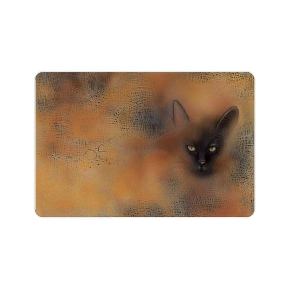 FCXZI Diatom Mud Mats Non-Slip Cat Home Quick Drying Rug 24x16in