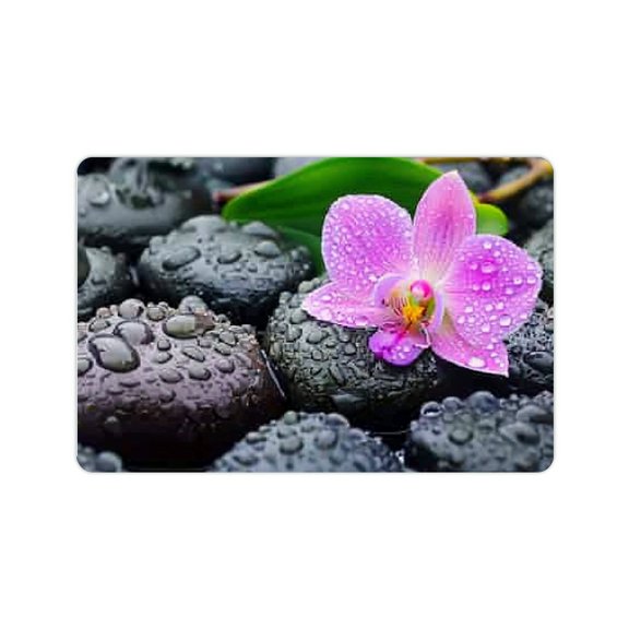 FCXZI Diatom Mud Mats Non-Slip Flowers Rocks Water Droplets Home 24x16in