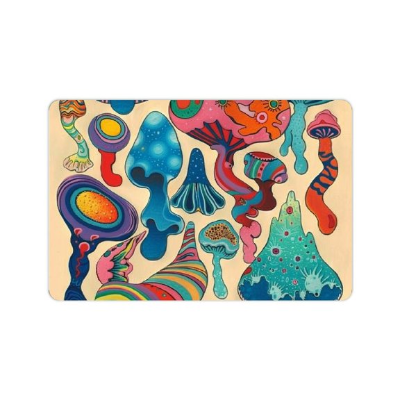 FCXZI Diatom Mud Mats Non-Slip Psychedelic Colors Home Decor 24x16in