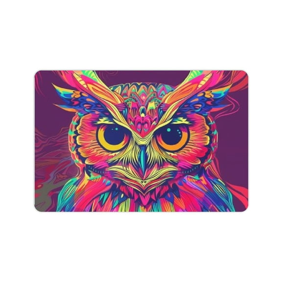 FCXZI Diatom Mud Mats Non-slip Psychedelic Owl Home Theme Quick Drying & Absorbent Pack of 2 24x16in