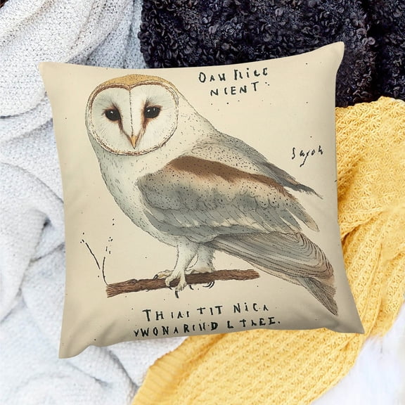 FCXZI Farmhouse Decor Barn Owl Theme Linen Pillow Covers for Home Sofa Couch - Set of 1, Invisible Zipper, 100% Linen, 3 Sizes 18x18in