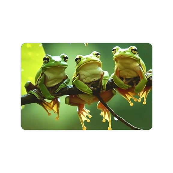 FCXZI Fashion Printed Bath Mat Anti Slip Rubber Interior Decoration Floor Mat for Kitchen Bathroom Home Decoration, (Funny Frog) 24x16in