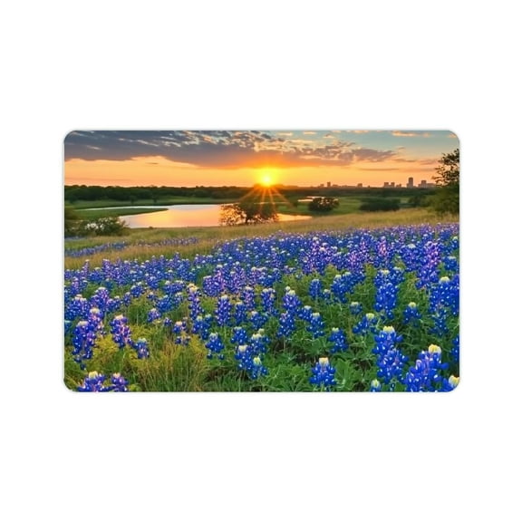 FCXZI Fashion Printed Bath Mat Anti Slip Rubber Interior Decoration Mat Floor Mat for Kitchen Bathroom Home Decoration, 24x16in