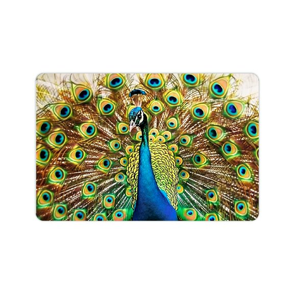 FCXZI Fast Absorption Peacock Feathers Home Bath Mat Diatom Mud 24x16in