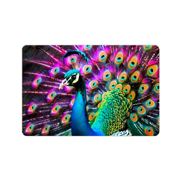 FCXZI Fast Absorption Peacock Feathers Home Bath Mat Diatom Mud 24x16in