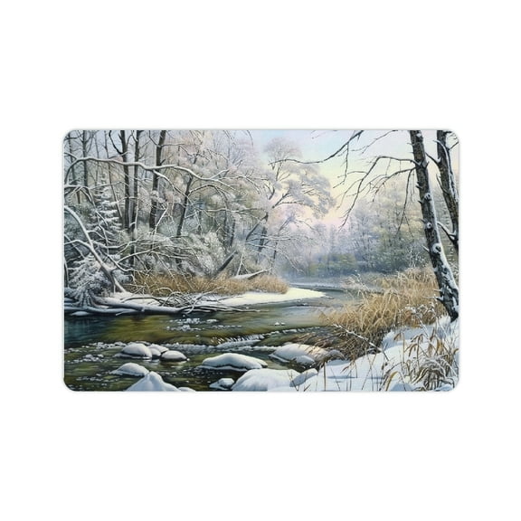 FCXZI Fast Absorption Snowy River Forest Rocks Home Bath Mat 24x16in