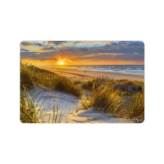 FCXZI Fast Absorption Sunset Landscape Sand Dunes Home Bath Mat 24x16in