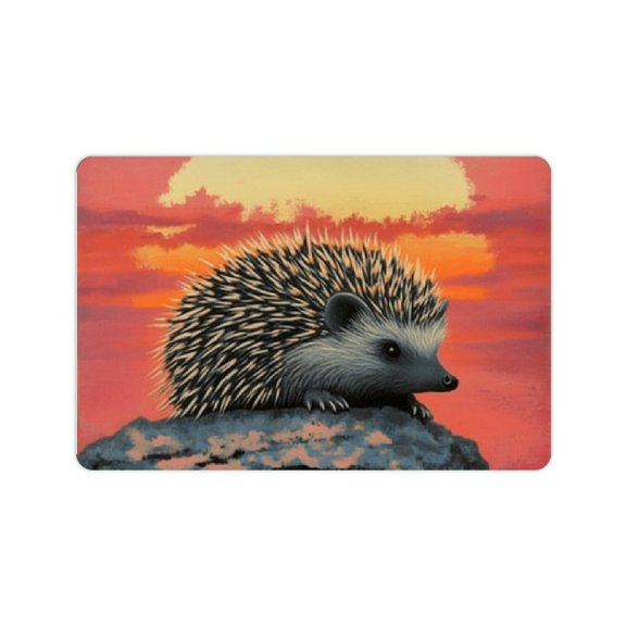 FCXZI Hedgehog Diatom Mud Mats Non-Slip Eco-Friendly Home Rug 24x16in