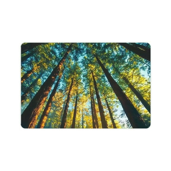 FCXZI Interior door mats, canopy design floor door mats for home dcor, non-slip floor mats for living room, kitchen, bedroom, gifts for forest lovers 24x16in