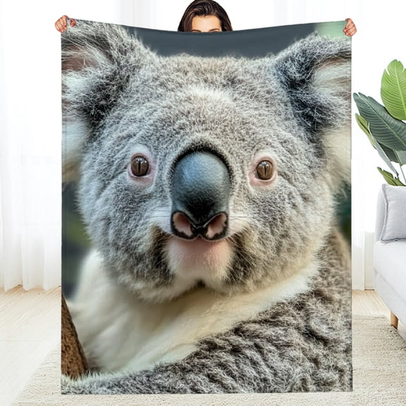 FCXZI Koala Bear Flannel Blanket, Soft Durable Multi-Purpose Gift 50*60in