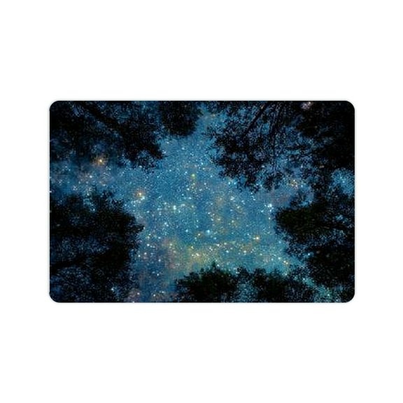 FCXZI Night Sky Stars Trees Diatom Mud Mat Non-Slip Home Rug 24x16in