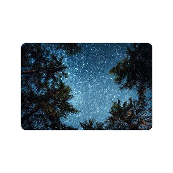FCXZI Night Sky Stars Trees Diatom Mud Mats Non-Slip Home Decor 24x16in