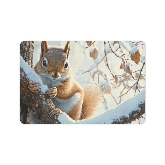 FCXZI Outdoor Door Mat Anti Slip Paint Door Mat With Rubber Welcome Mat Backing Quick Drying Entrance Mat Outdoor Front Mat Patio Floor Mat Trim 24x16in