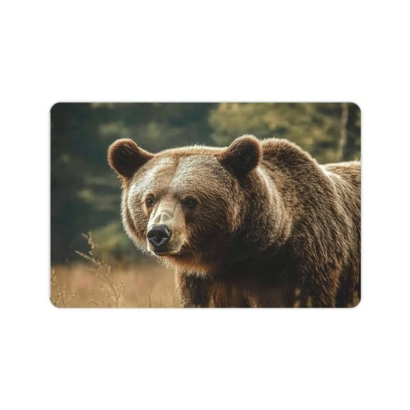 FCXZI Outdoor Door Mat Non-Slip Bear On The Grass Doormat Whith Rubber Welcome Mats Backing Quick Dry Entrance Mat Outdoor Front Doormat Floor Mats for Patio 24x16in