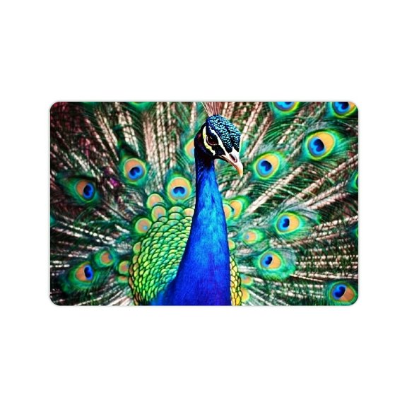 FCXZI Peacock Feathers Colors Diatom Mud Bath Mat Quick Drying 24x16in