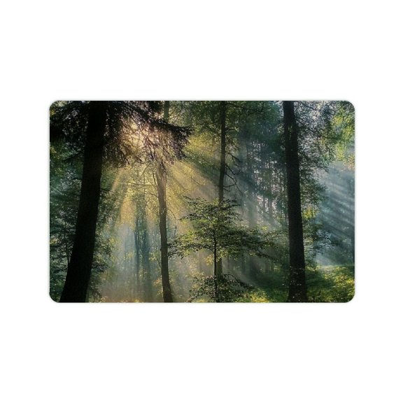 FCXZI Trees Sunbeam Diatom Mud Mats Non-Slip Eco-Friendly Home 24x16in