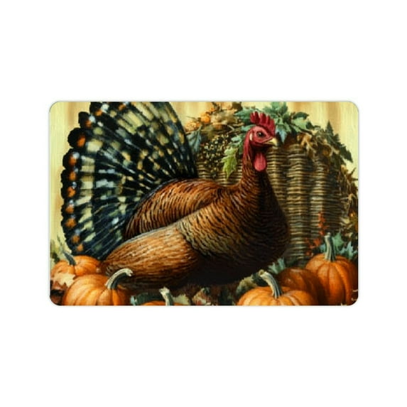 FCXZI Turkey Fast Absorption Bath Mat Eco-Friendly Home Decor 24x16in