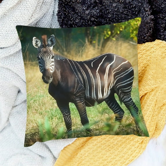 FCXZI Zebra Grass Field Forest Throw Pillow Cover for Home Sofa 24x24in