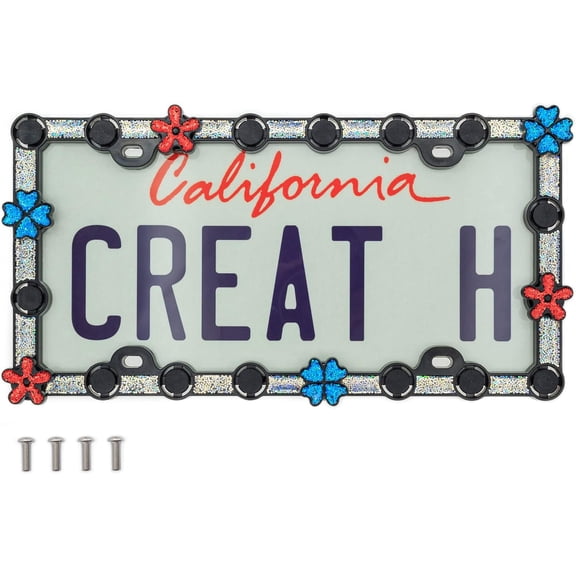 FD&D Custom License Plate Frame,Starter Kit with Blue Daisy and Red Ladybug