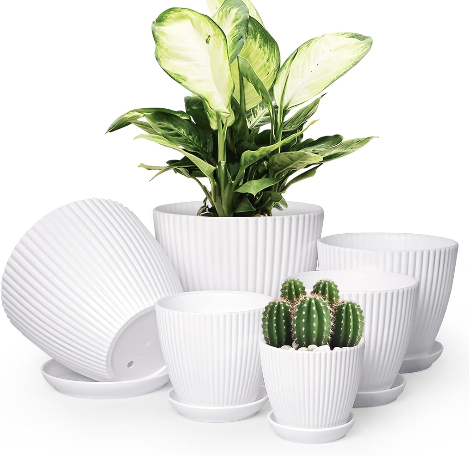 FDDAI Indoor Plant Pots with Saucers, 6 Pack Plastic Planters with ...